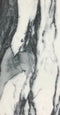 a black and white photo of a marble surface